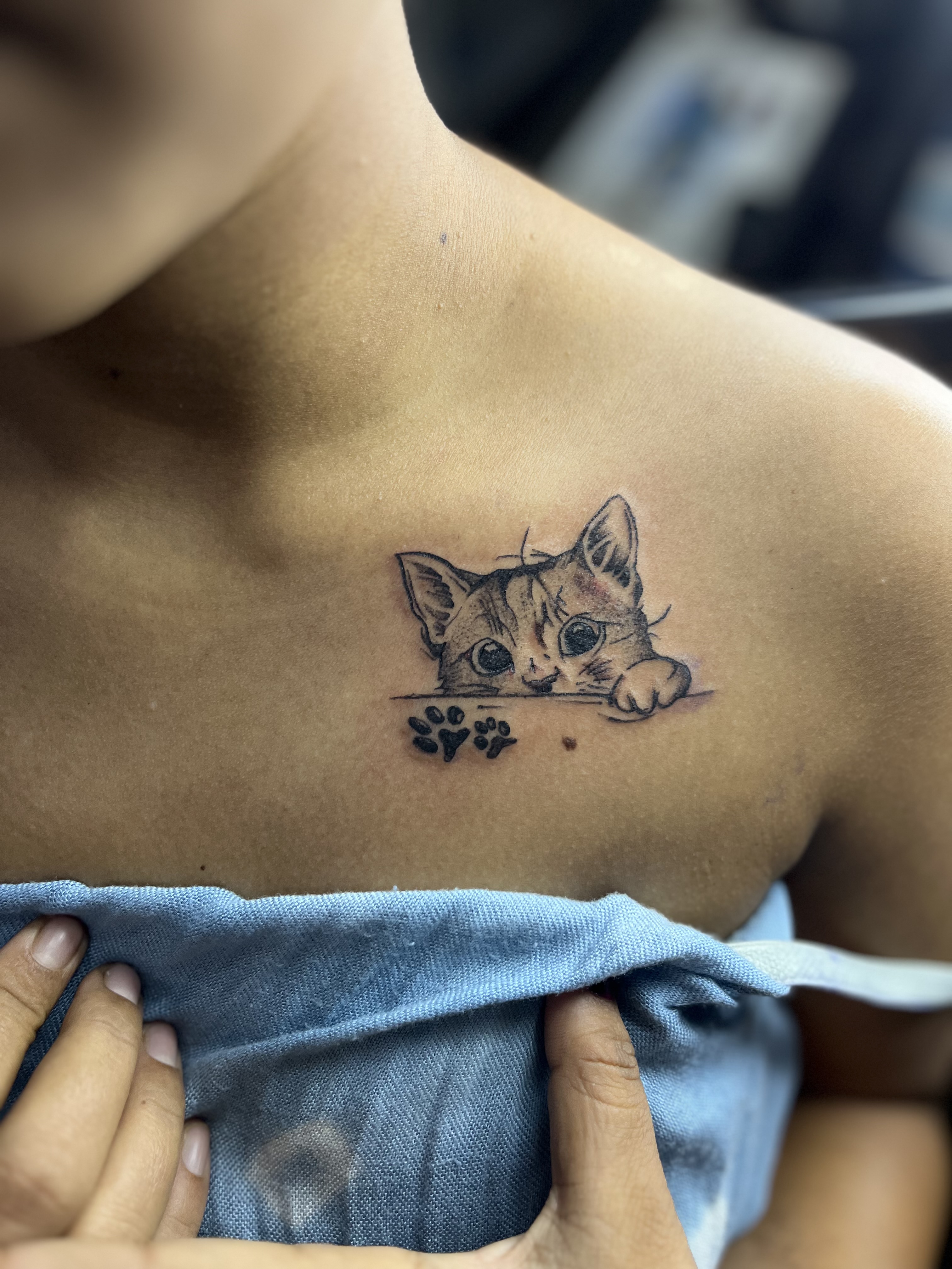 Cat